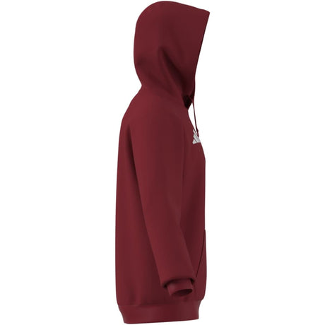 adidas Men's Entrada26 Hoodie-9