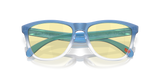 Oakley Frogskins Glasses-9