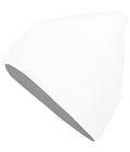 Pacific Headwear Eco-revive® Beanie