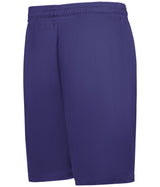 Badger Sport  Men's Mesh/tricot 9-inch Iseam Shorts