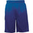 Badger Sport Digital Panel Youth Short