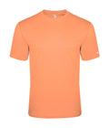 Badger Sport  Men's Tri-blend Tee