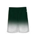 Badger Sport  Men's Ombre Short