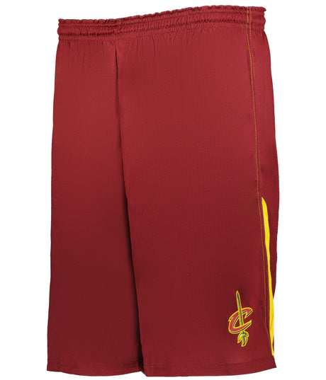 Alleson Athletic  Men's Nba Logo'd Shorts