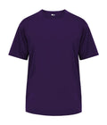 Badger Sport  Men's B-tech Tee
