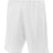 A4 Men's Lined Tricot Mesh Shorts-1