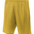 A4 Men's Lined Tricot Mesh Shorts-1