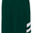 A4 Men's Reversible Speedway Short-1