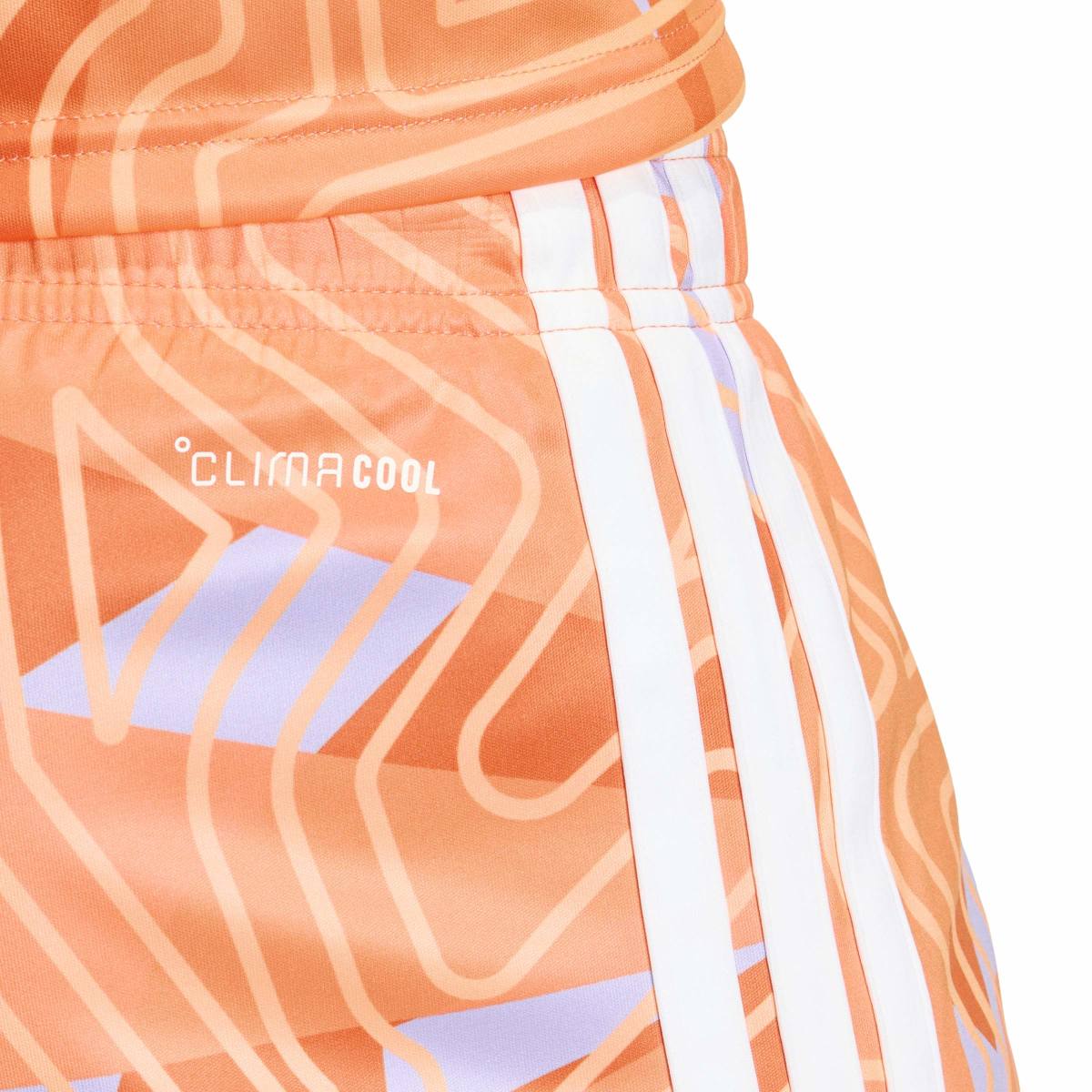 adidas Men's TIRO 26 Competition Goalkeeper Shorts-6