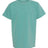 Comfort Colors Youth Garment-Dyed Heavyweight T-Shirt-1