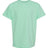 Comfort Colors Youth Garment-Dyed Heavyweight T-Shirt-1