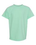 Comfort Colors Youth Garment-Dyed Heavyweight T-Shirt-1