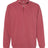 Comfort Colors Men's Garment-Dyed Quarter-Zip Sweatshirt-1