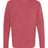 Comfort Colors Men's Garment-Dyed Heavyweight Long Sleeve Pocket T-Shirt-1