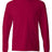 Hanes Men's Authentic 100% Cotton Long Sleeve T-Shirt 5586-1