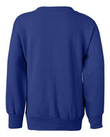  Youth EcoSmart Crewneck Sweatshirt-3