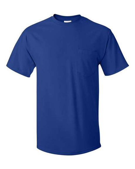 Hanes Men's Authentic 100%  Cotton T-Shirt with Pocket-1