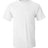 Hanes Men's Authentic 100%  Cotton T-Shirt with Pocket-1