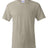 Hanes Men's Essential-T T-Shirt-1