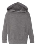 Independent Trading Co. Toddler Special Blend Hooded Raglan Sweatshirt-1