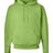 Hanes Men's EcoSmart Pullover Hooded Sweatshirt-1