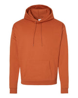 Hanes Men's EcoSmart Pullover Hooded Sweatshirt-1