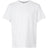 Champion Men's Sport T-Shirt-1
