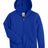  Youth EcoSmart Full-Zip Hooded Sweatshirt