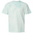 Comfort Colors Men's Colorblast Heavyweight T-Shirt-1