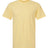 American Apparel Men's CVC Tee-1