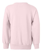  Youth EcoSmart Crewneck Sweatshirt-3