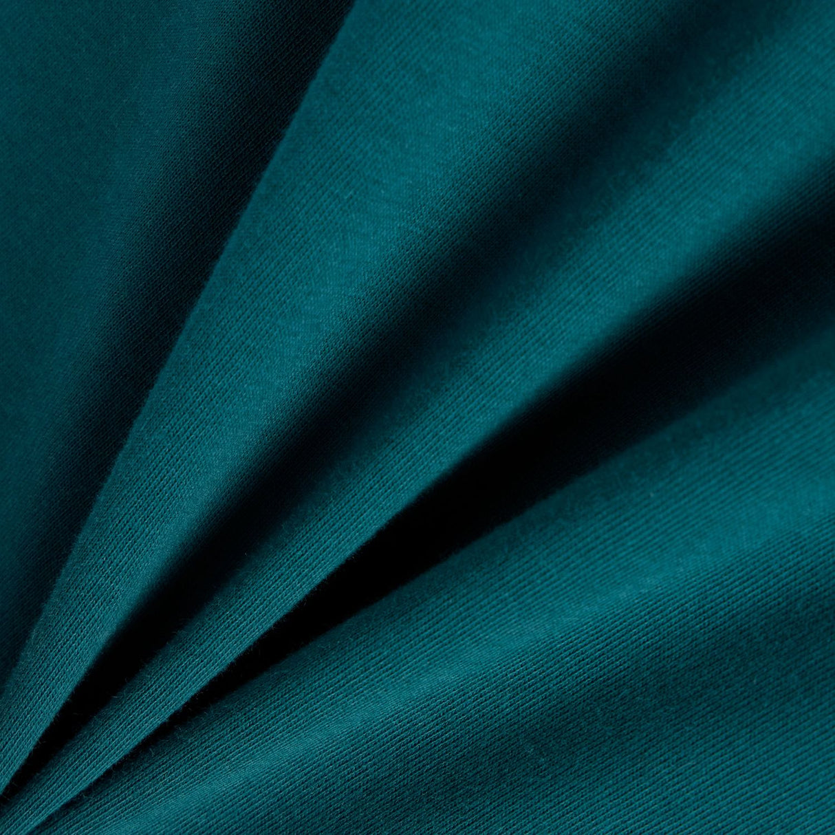 355664140.jpg