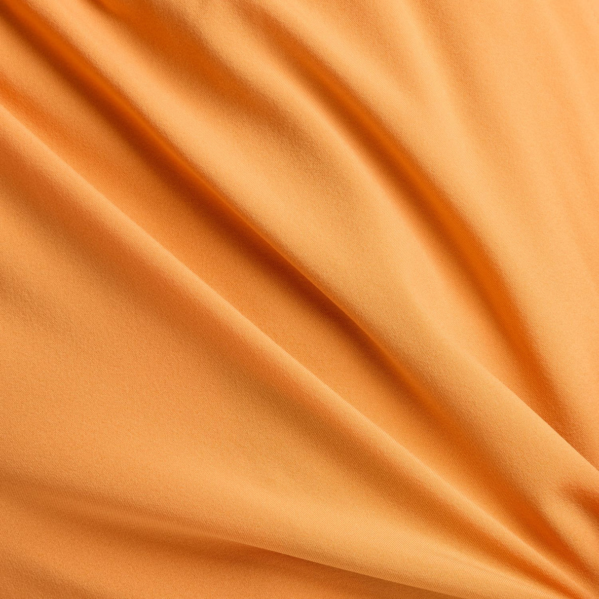 355697153.jpg