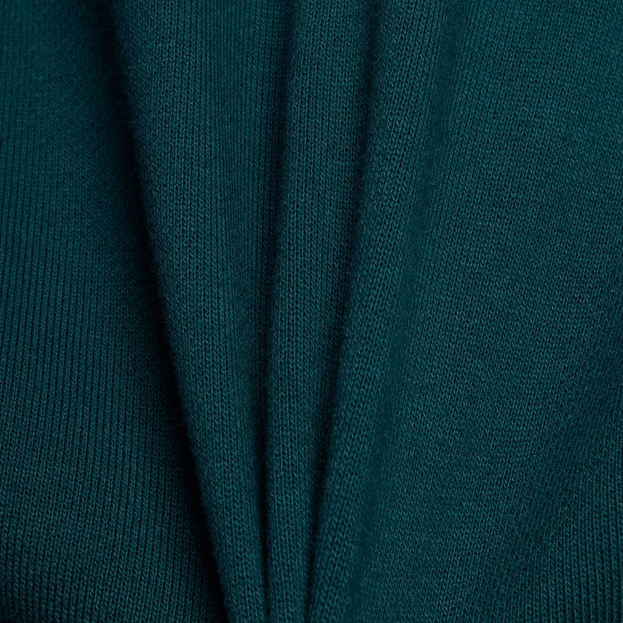 355707826.jpg