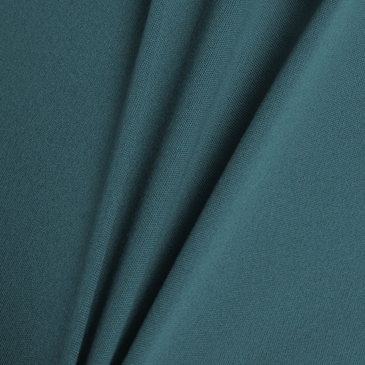 355720958.jpg