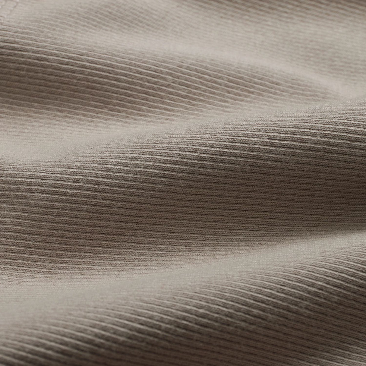 355731977.jpg