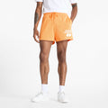 New Balance Men's Heritage Mesh Graphic 5" Short-1