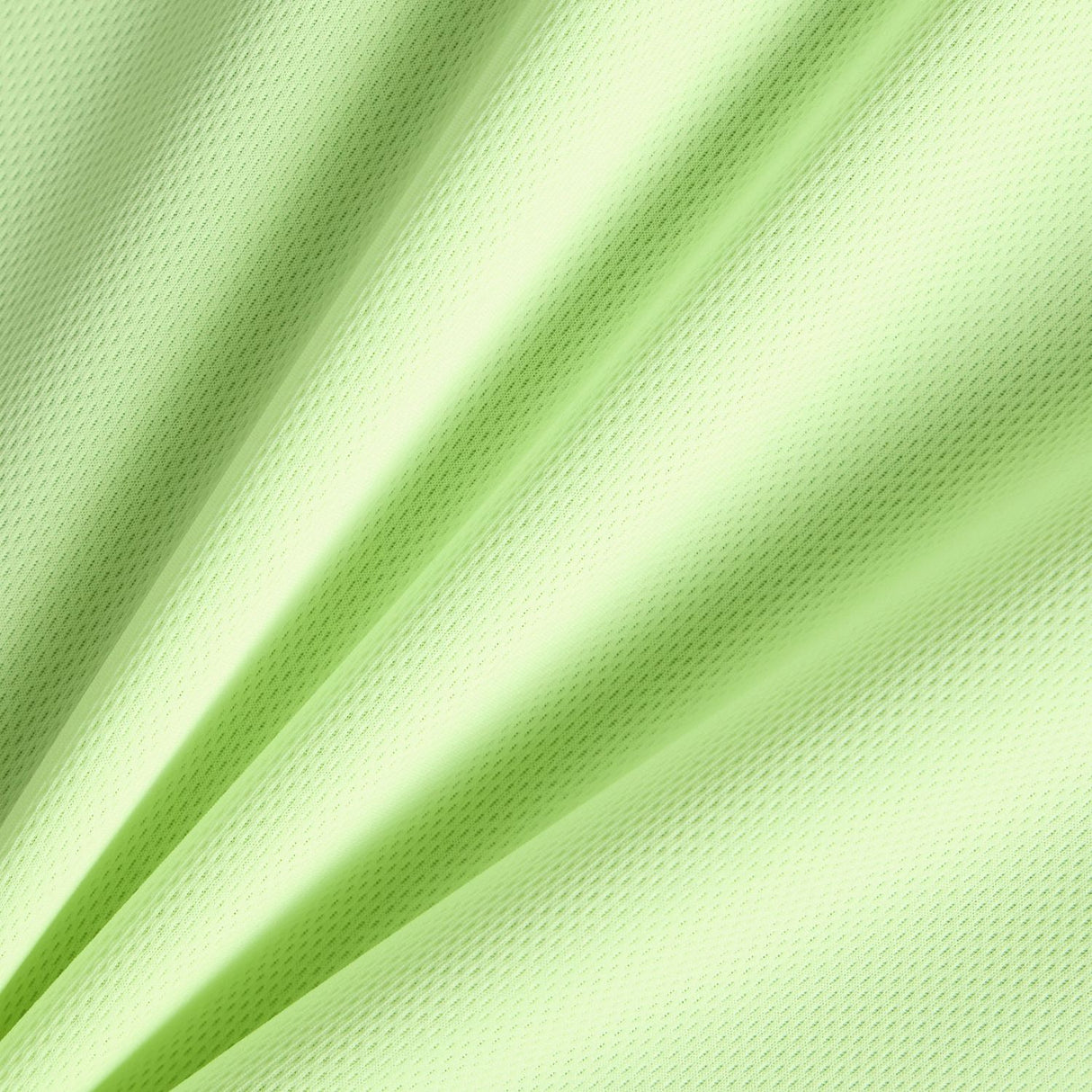 355769051.jpg
