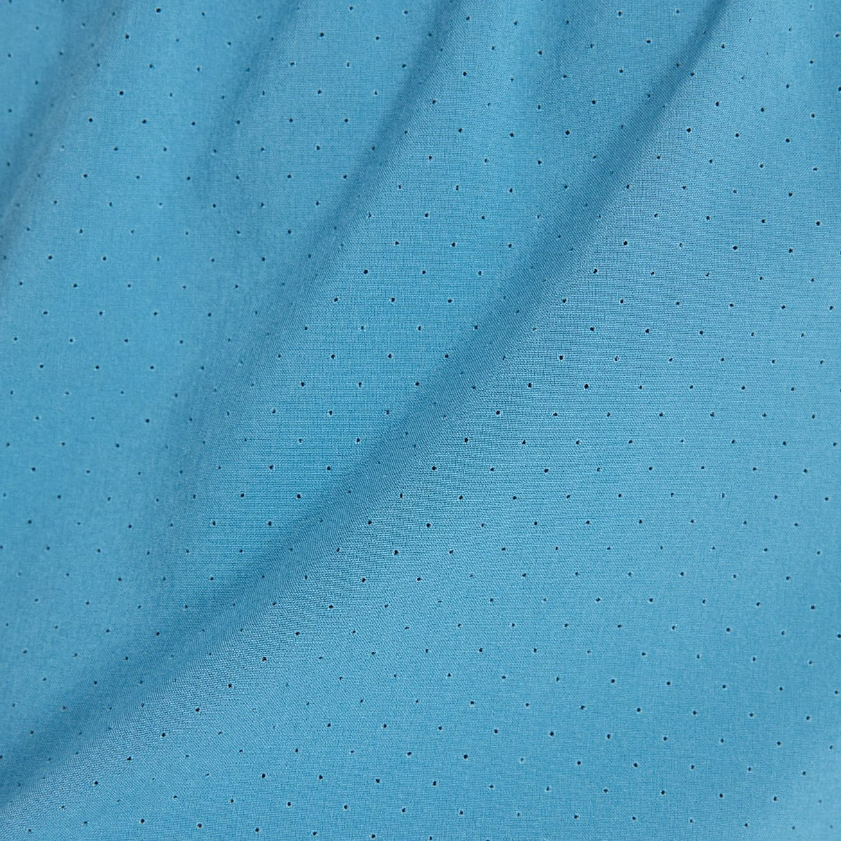 356000288.jpg
