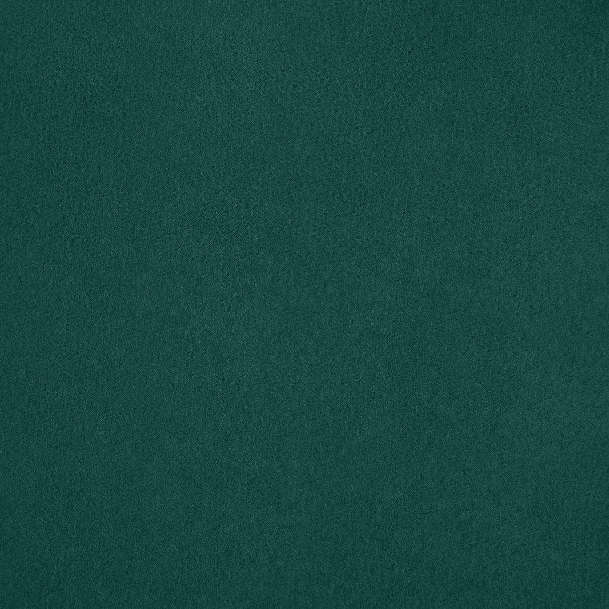 356002080.jpg
