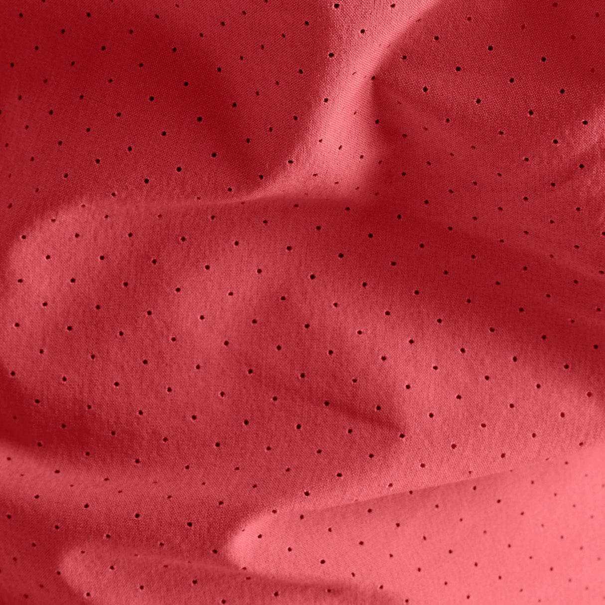 356005195.jpg