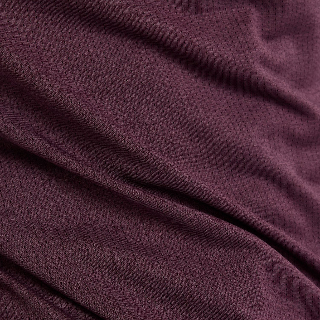 356008347.jpg