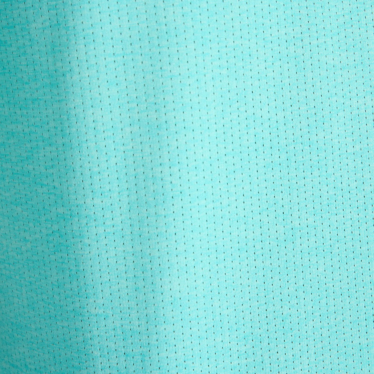 356010151.jpg