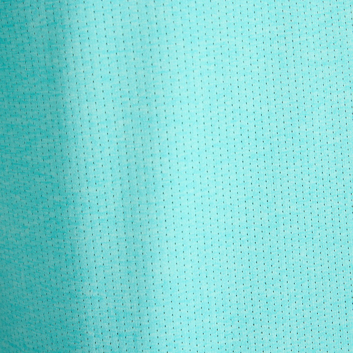 356010151.jpg