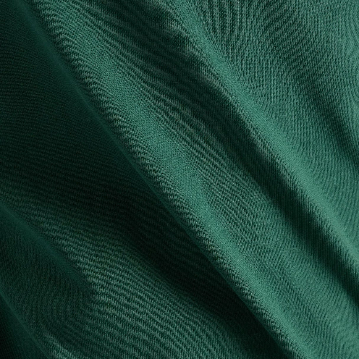 356014965.jpg