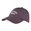 New Balance 6 Panel Seasonal Hat-1