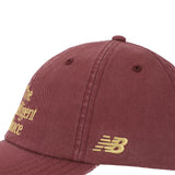 New Balance 6 Panel The Intelligent Choice Hat-3