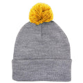 Pennant Mens Beacon Beanie