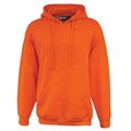 Pennant Mens Safety Hoodie