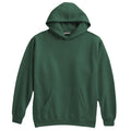 Pennant Youth Super 10 Hoodie